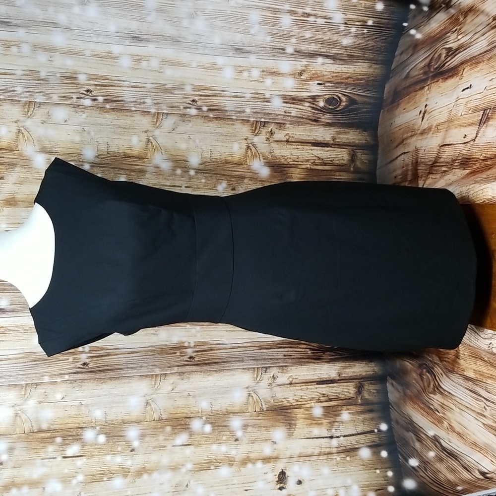 The Limited Black Collection Black Silhotte V-Neck & Back Ultra Cap Sleeve Dress